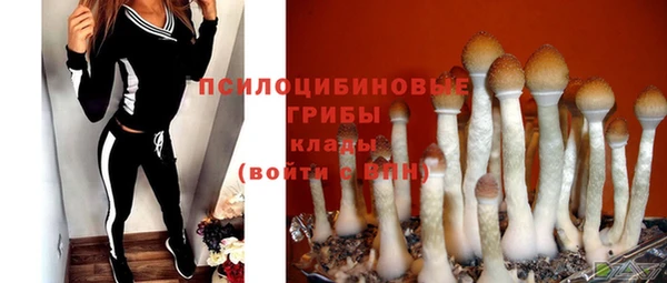 Альфа ПВП Армянск