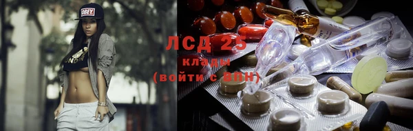 PSILOCYBIN Аркадак