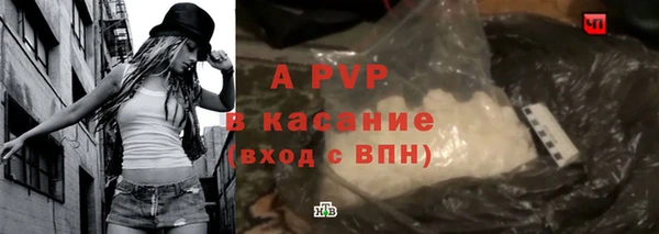 PSILOCYBIN Аркадак