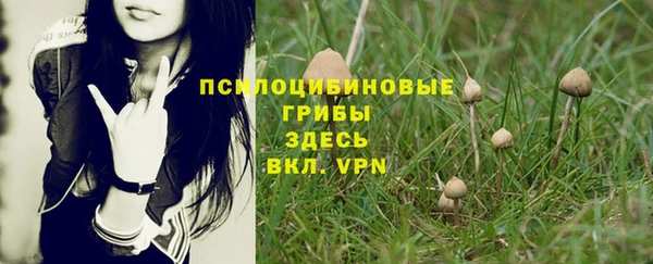 PSILOCYBIN Аркадак