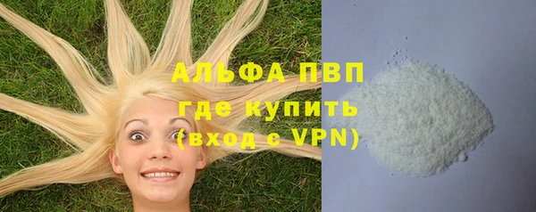 PSILOCYBIN Аркадак