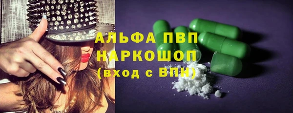 PSILOCYBIN Аркадак